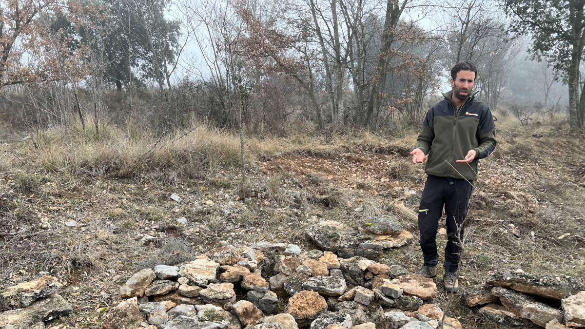 Albert Cereza, de l'empresa Salvatgines, mostra una vedruna per conills de bosc a mig fer.