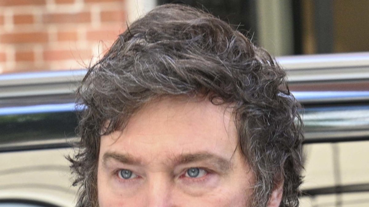 Javier Milei. - EFE
