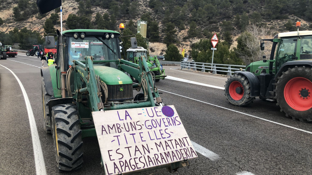 Imatge de la manifestació a Ciutadilla