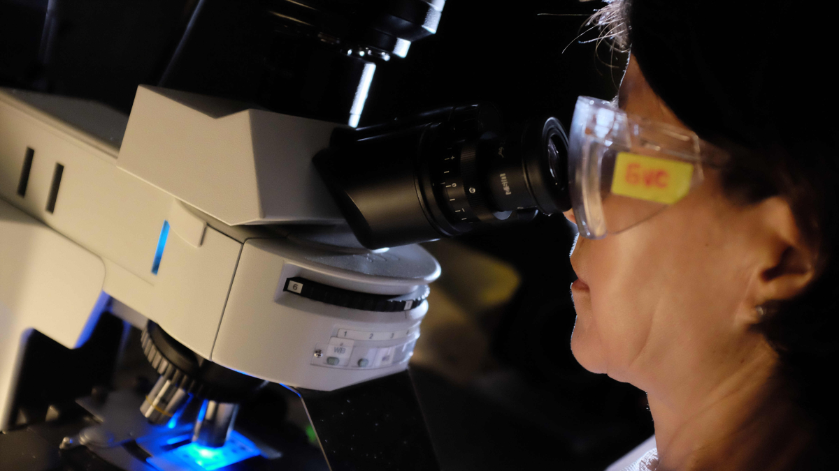 Imagen de archivo de una investigadora en un laboratorio.