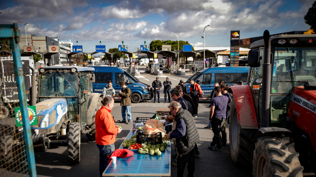 Barrado el mercado mayorista que da salida a la fruta de Lleida - EUROPA PRESS