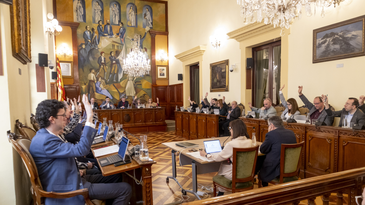 Un moment del ple de la Diputació de Lleida d'aquest dijous.