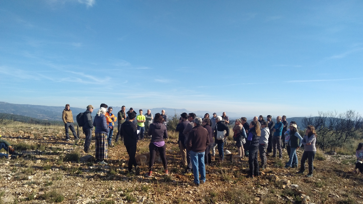 Voluntarios en Baldomar. - EMD BALDOMAR