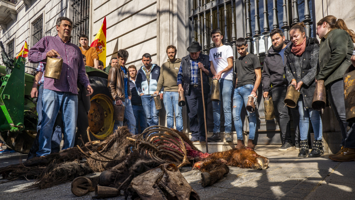 Payeses dejaron restos de un potro ante Agricultura en Santander. - EFE