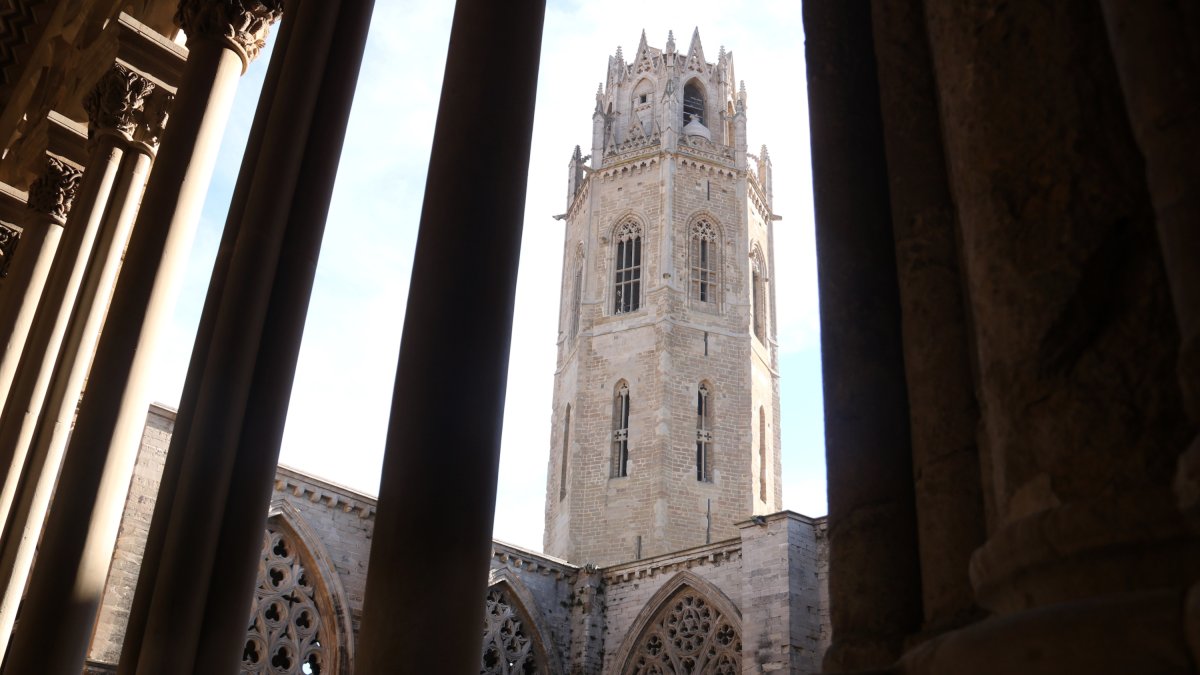 El campanar de la Seu Vella vist des del claustre