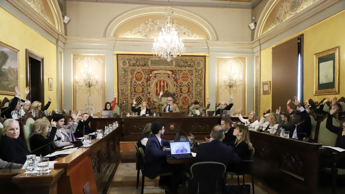 Alumnes de Secundària dels instituts Manuel de Montsuar i Joan Oró van assistir ahir al ple. - MAGDALENA ALTISENT