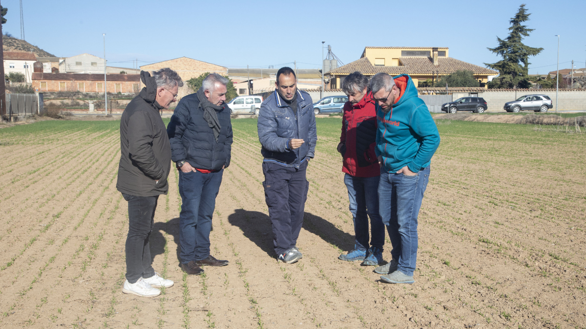Agricultores muestran los daños causados por los conejos en una finca de Preixana. - LAIA PEDRÓS