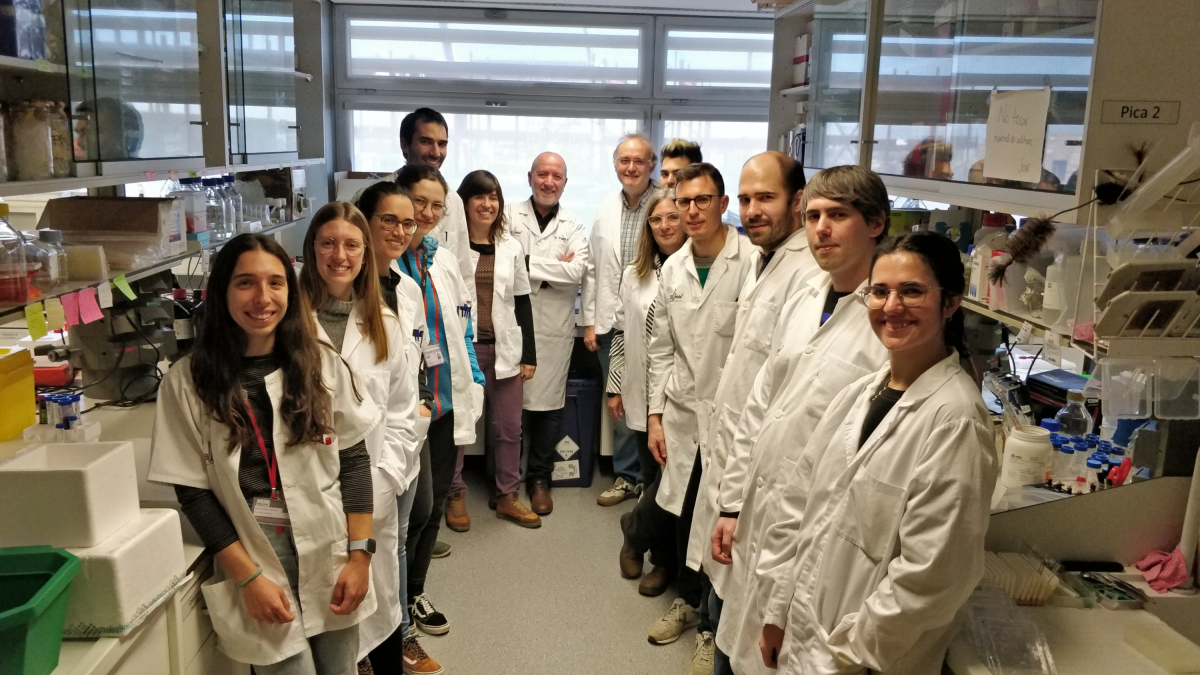 Equip d’investigadors que han participat en l’estudi