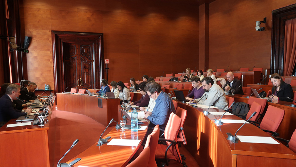 Un momento de la reunión de la Comisión de Agricultura. - PARLAMENT DE CATALUNYA