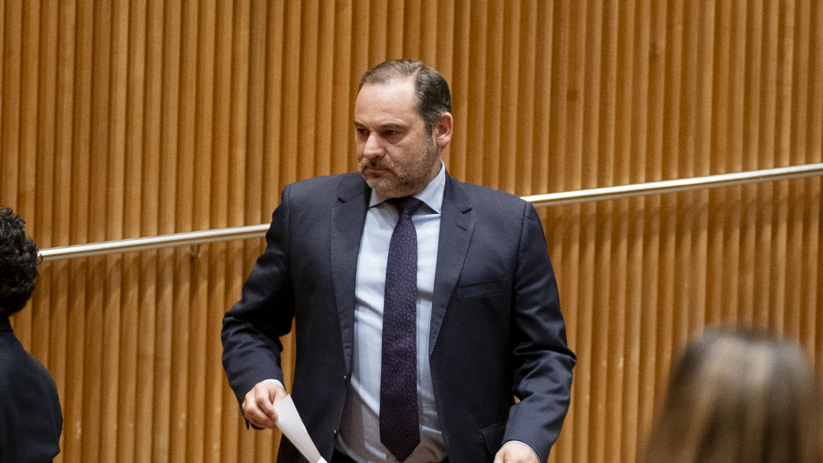 L’exministre socialista José Luis Ábalos, al Congrés. - EUROPA PRESS