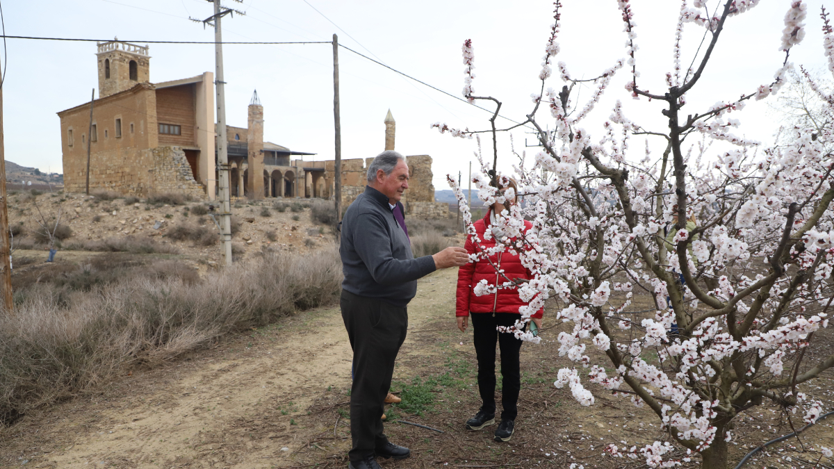 Visitants als camps florits de Seròs amb el monestir d’Avinganya de fons