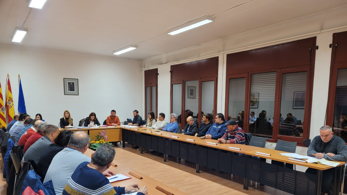 El ple del consell de la Llitera en l’última sessió. - COMARCA DE LA LLITERA
