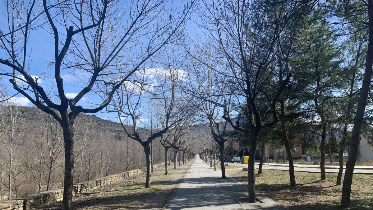 El passeig dedicat a Josep Borrell.