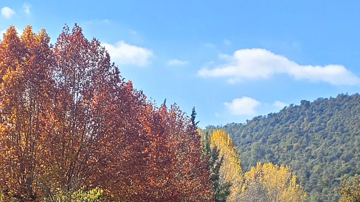 La construcció del Canal d'Urgell va ser una aventura empresarial amb un balanç inicial decebedor que finalment va ser reeixit.