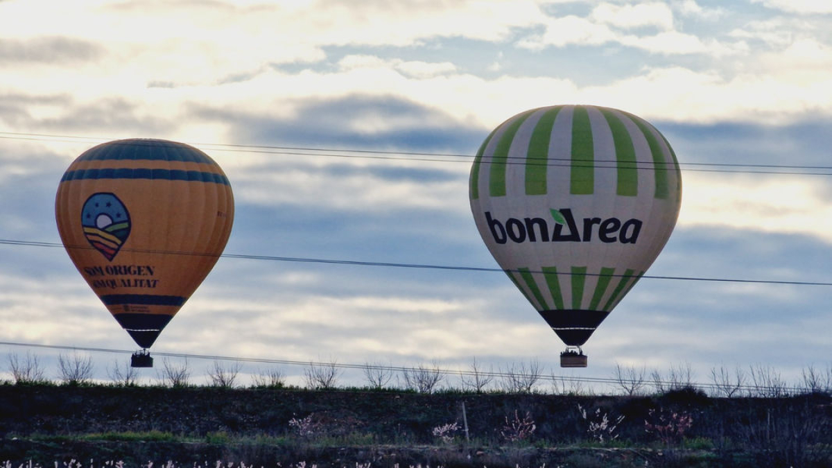 Globos en Aitona para ver la floración desde el aire - A.A.
