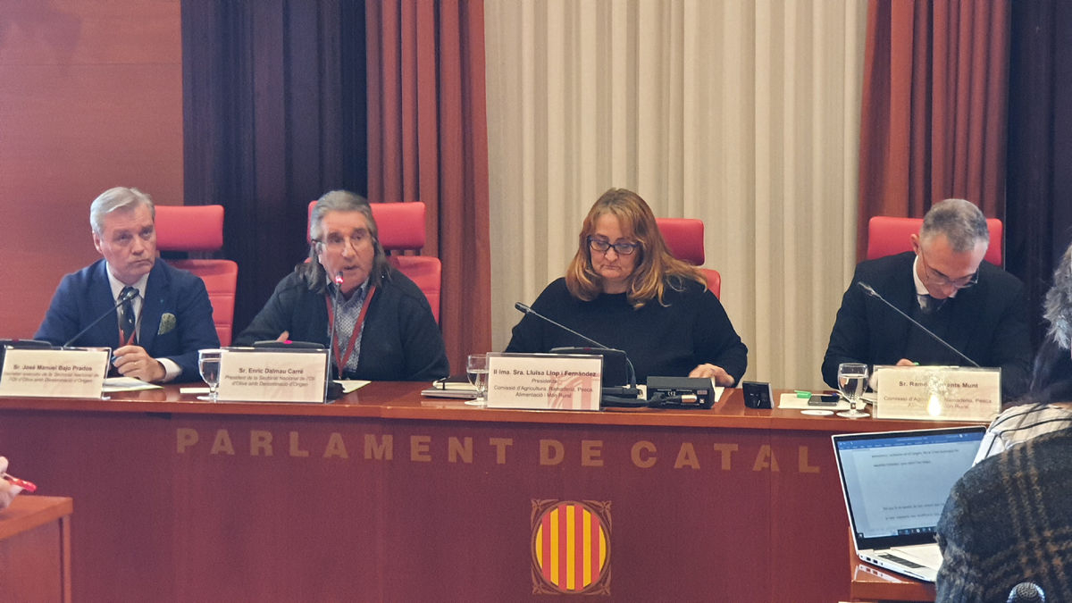 Un moment de la compareixença d’Enric Dalmau, en el centre. - DOP LES GARRIGUES