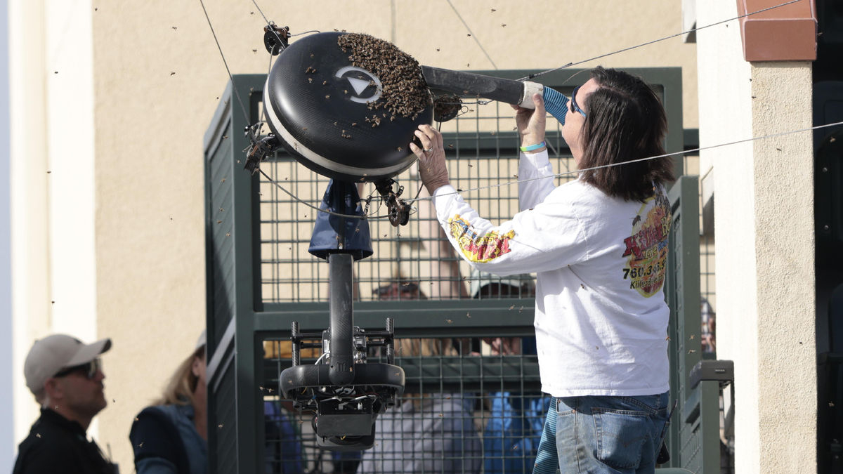 Carlos Alcaraz supera a Zverev y a una “invasión” de abejas