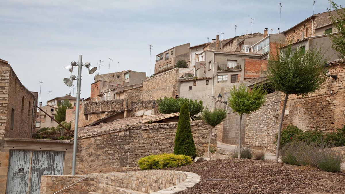 Imatge d’arxiu del Talladell. - SEGRE