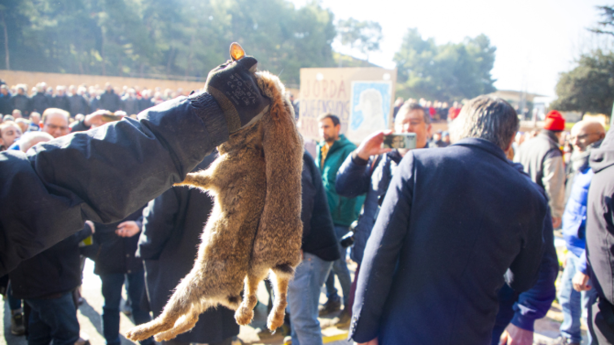 Un manifestante sujetando dos conejos durante la protesta 3 de marzo del 2023.