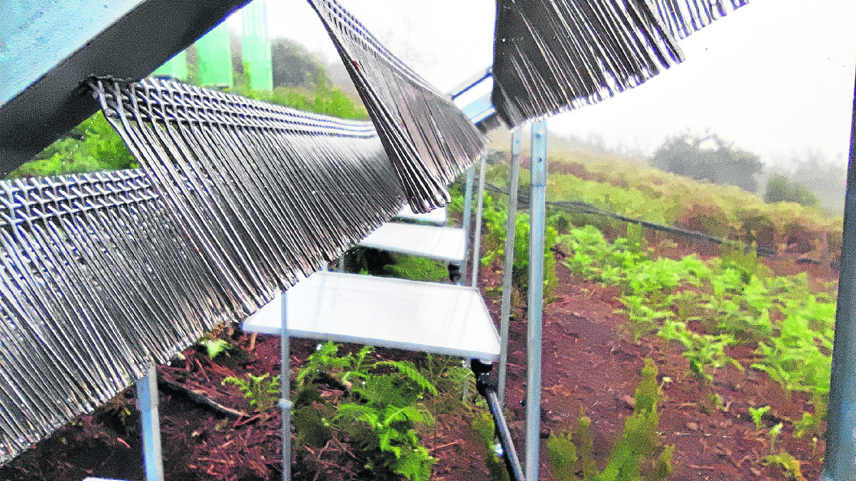 Equipos para captar agua de niebla en las islas Canarias.