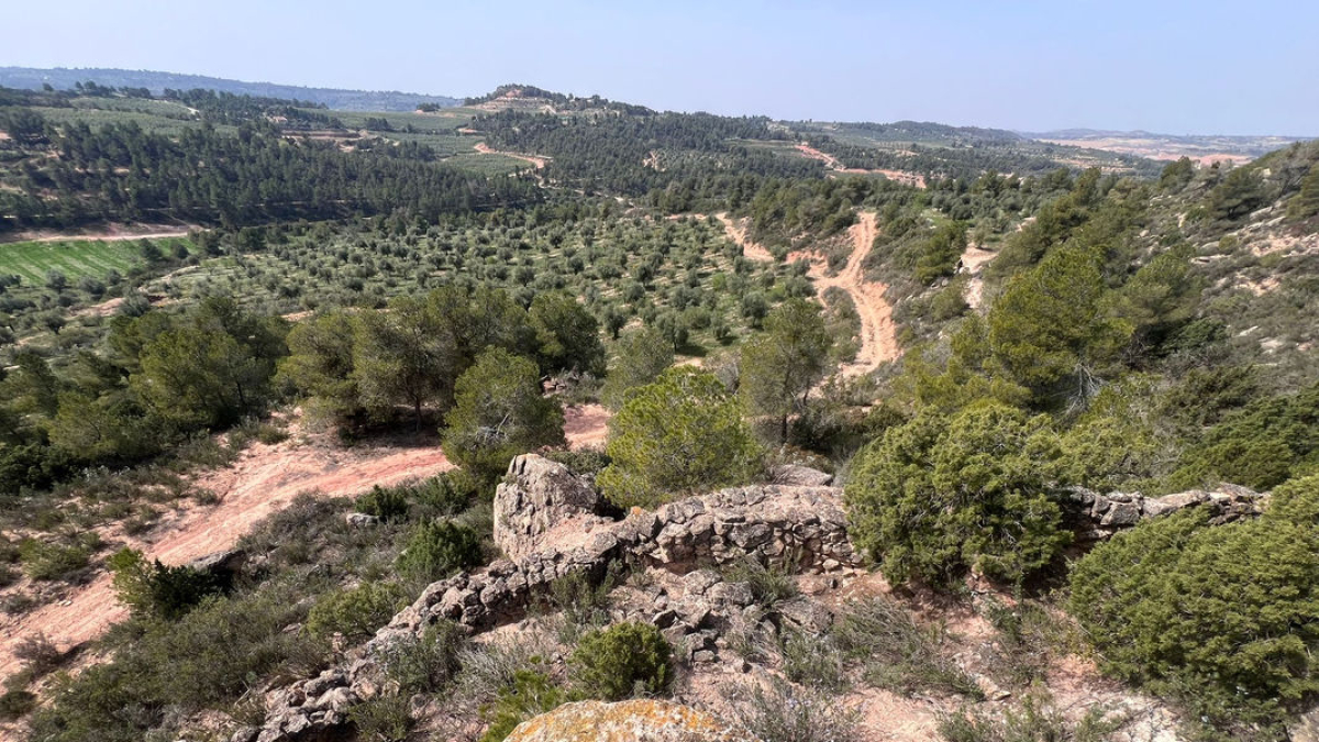 Vista de la construcción localizada en Cervià de les Garrigues. - AGENTES RURALES