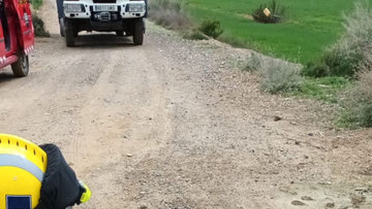 Salvan a 2 perros en una acequia