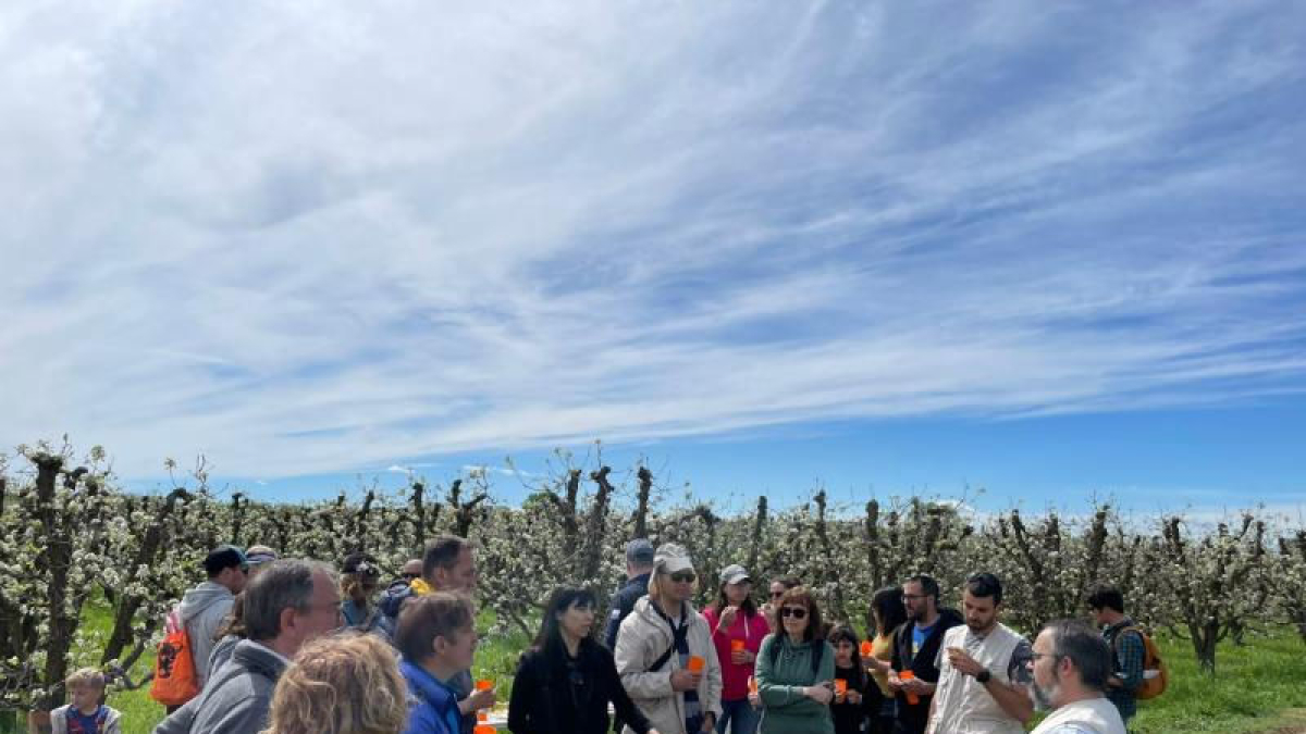 Un grupo de visitantes en los campos de Montoliu de Lleida. - E.M.