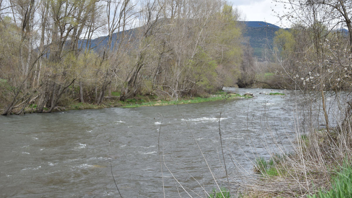 El Segre bajaba este sábado con un elevado caudal a la altura del Mesclant después de recibir la Valira. - F.V.