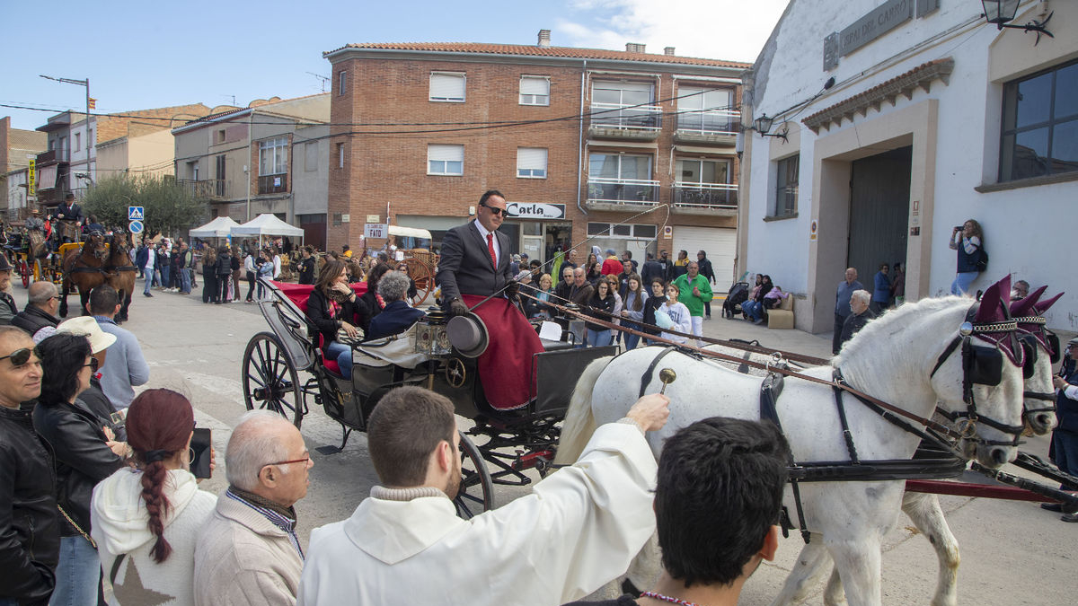 Edició de l’any passat dels Tres Tombs d’Anglesola. - LAIA PEDRÓS