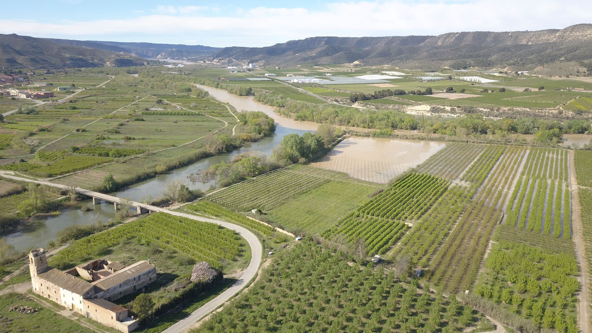 Las fincas inundadas por el río Cinca en el Aiguabarreig el domingo a vista de dron.
