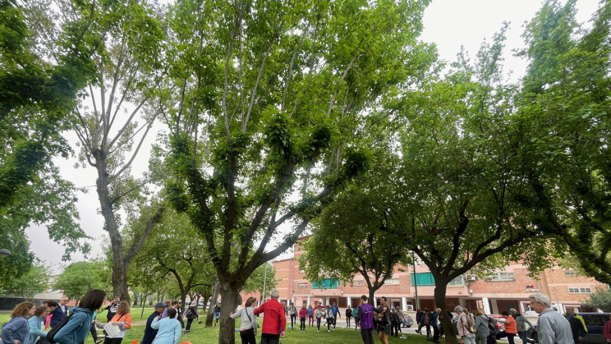 La Descomunal va celebrar una vintena de tallers esportius. - AJUNTAMENT DE LLEIDA