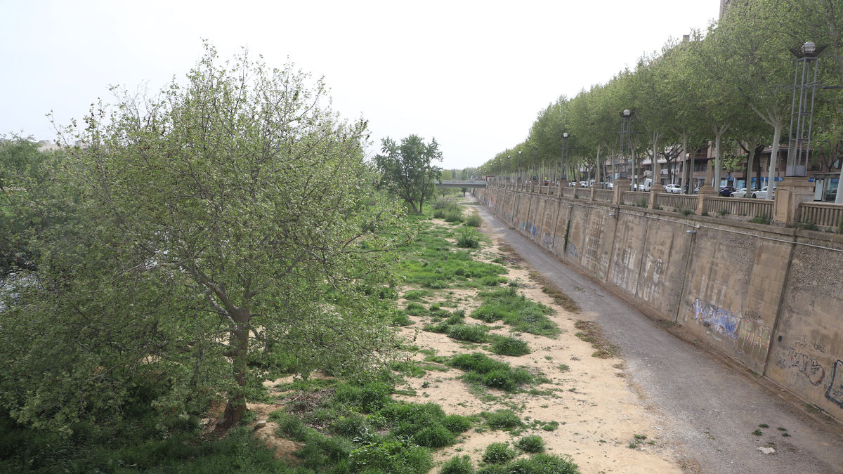 Estat en el qual es troba el marge dret de la canalització passat el pont de la Universitat. - MAGDALENA ALTISENT