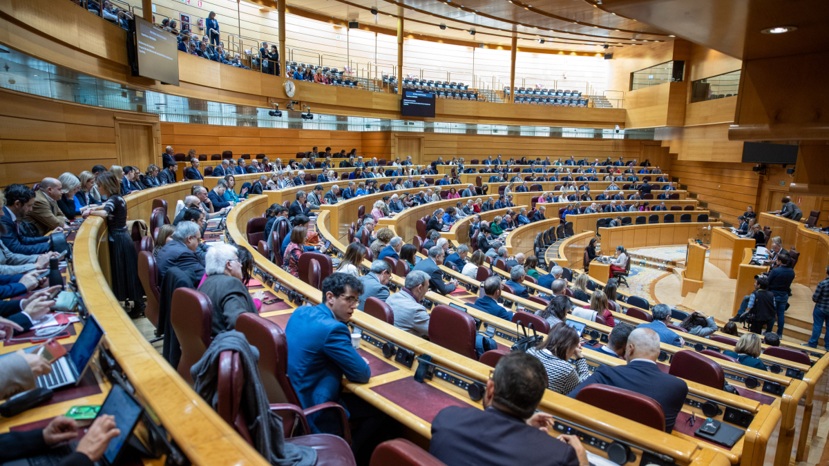 El Pleno del Senado.