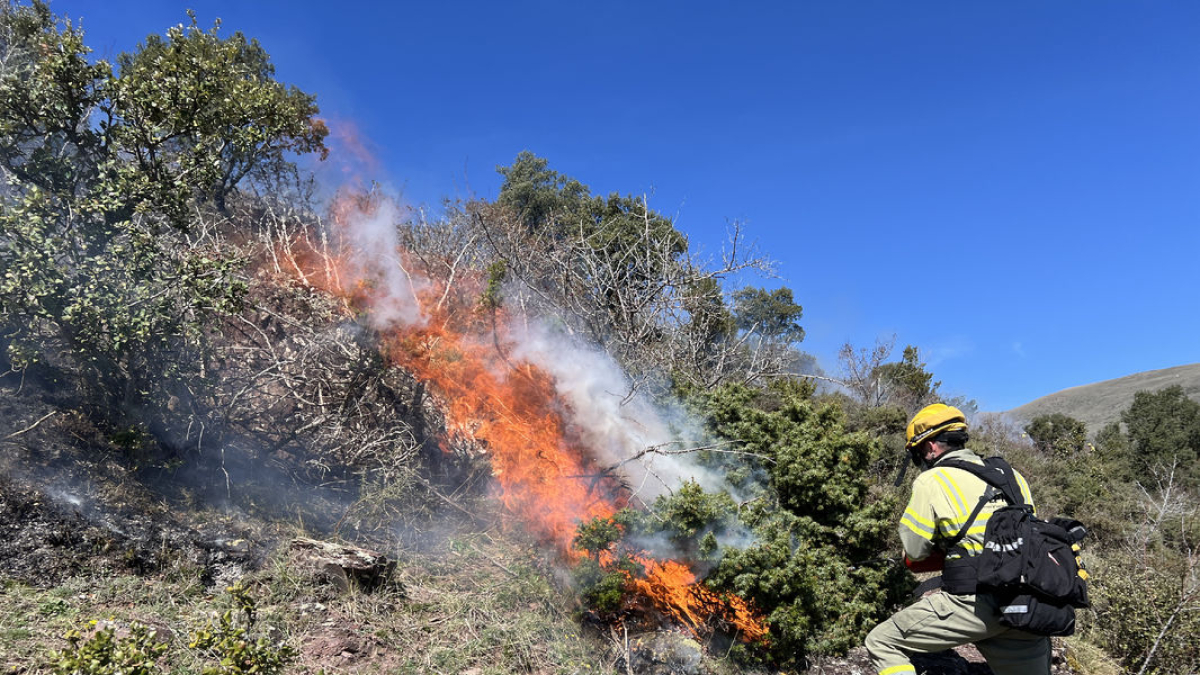 Ahir es va dur a terme una crema controlada d’arbustos. - ACN