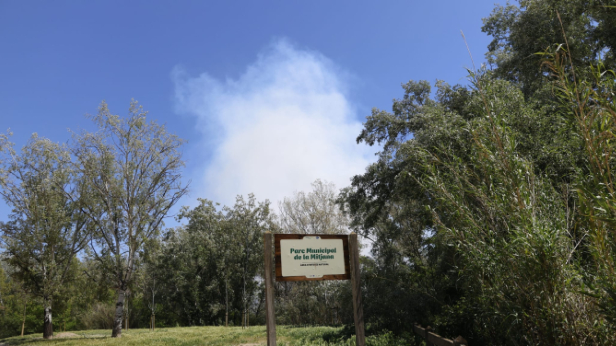 Incendi a la mitjana