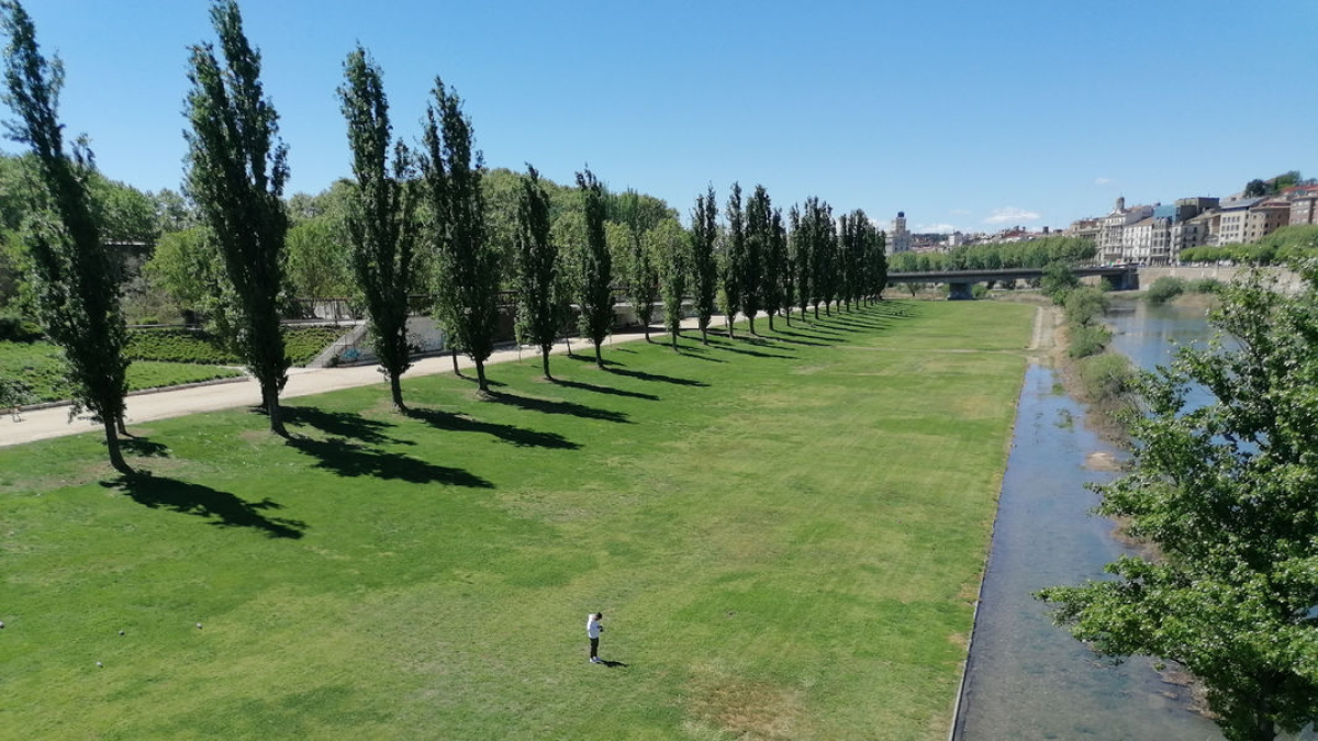 L’aspecte actual de la gespa del marge esquerre de la canalització. - S.E.
