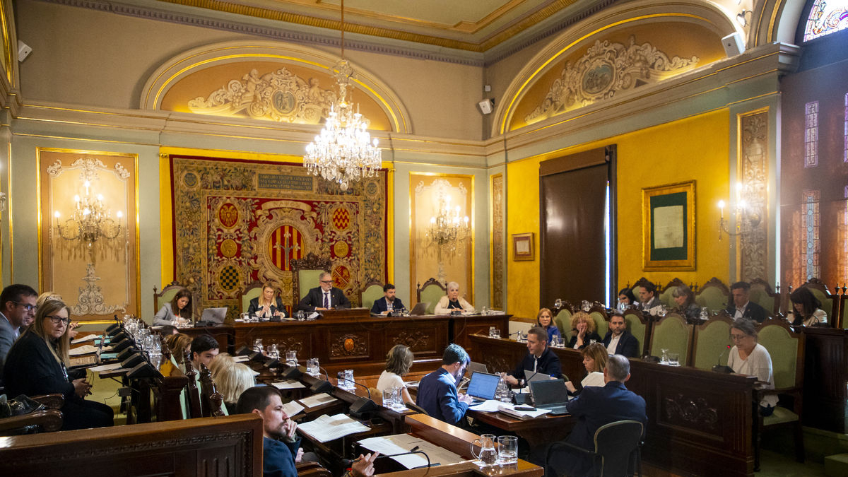 Els 2 punts recorreguts es van aprovar en el ple del març. - GERARD HOYAS