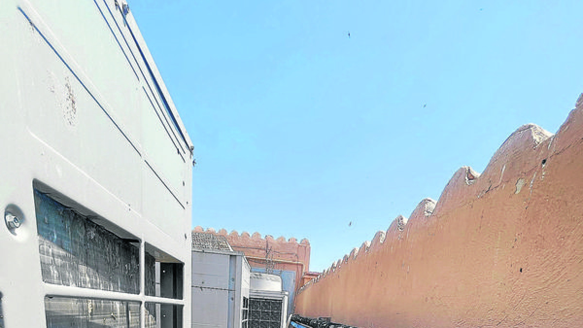 Excrements de colom a la biblioteca el 2023. - PAERIA DE BALAGUER