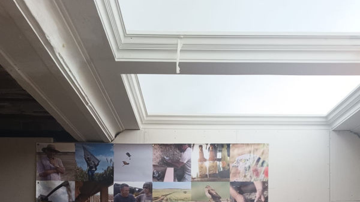 Algunas de las personas involucradas en el documental que se estrenó el pasado jueves en los Cinemes Majèstic de Tàrrega. - LIMONIUM NATURA