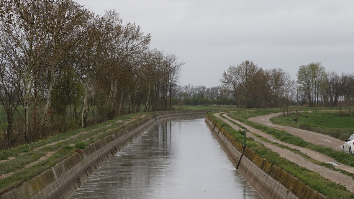El Canal d’Urgell inició la campaña de riegos el 25 de marzo y ya dispone de un tercer hidro. - LAIA PEDRÓS