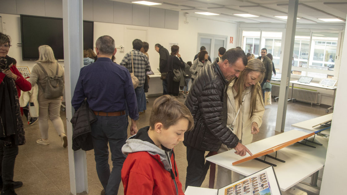 Exposició de les orles de totes les promocions que han passat per l’institut Ribera del Sió. - LAIA PEDRÓS