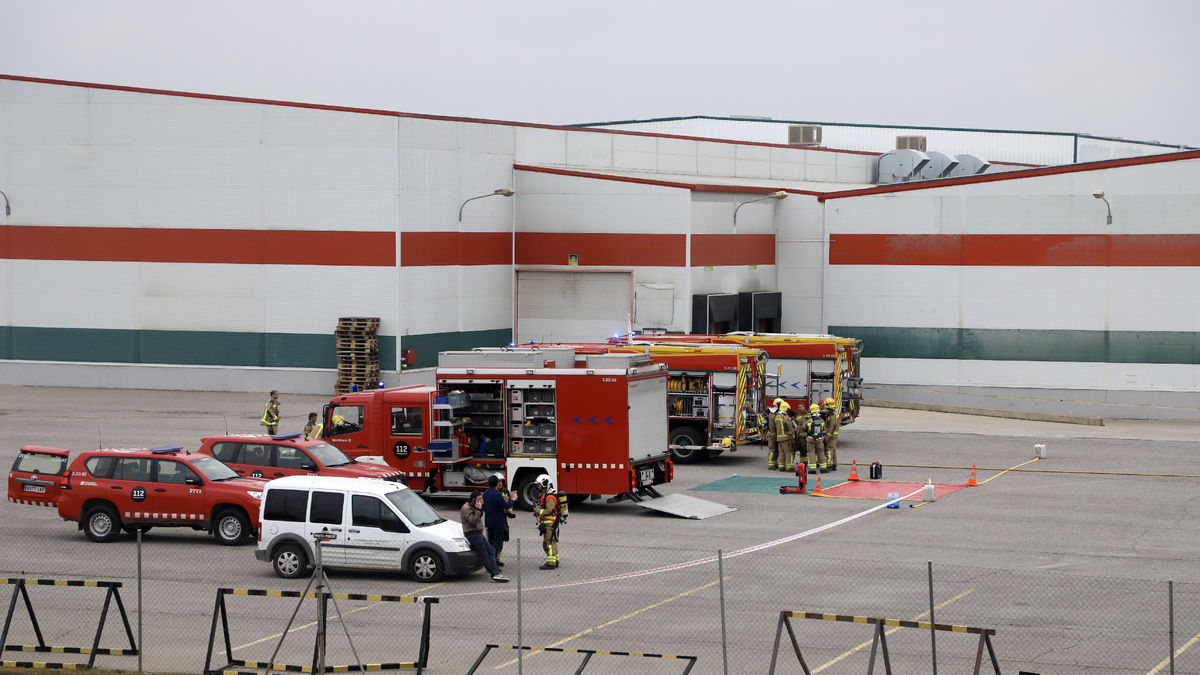 En el dispositivo participaron diez dotaciones de los Bomberos de la Generalitat. - MAGDALENA ALTISENT