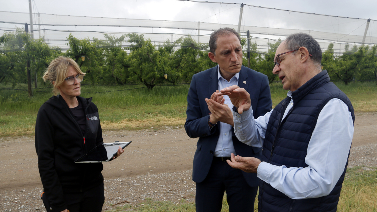 El director de Agroseguro en Lleida, Xavier Joana, y el subdelegado del gobierno en Lleida, José Crespín, visitando una finca afectada por las heladas.