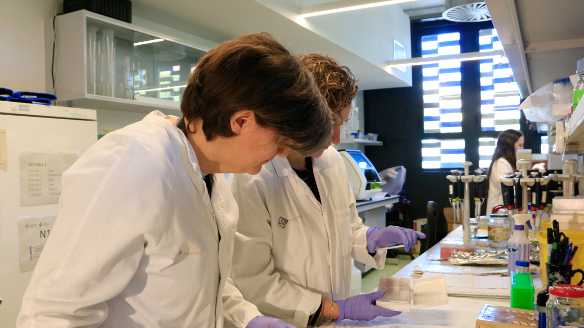 Investigadoras observando muestras de cerebro en el área de investigación en Enfermedades Neurológicas, Neurociencia y Salud Mental del Instituto de Investigación de Sant Pau.