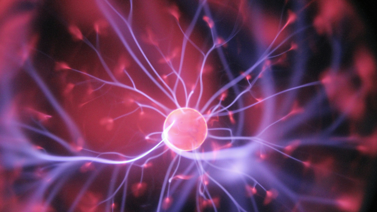 L'estudi explica com partint de nivells mínims d'energia, el cervell permet als individus sobreviure i, fins i tot, prosperar.
