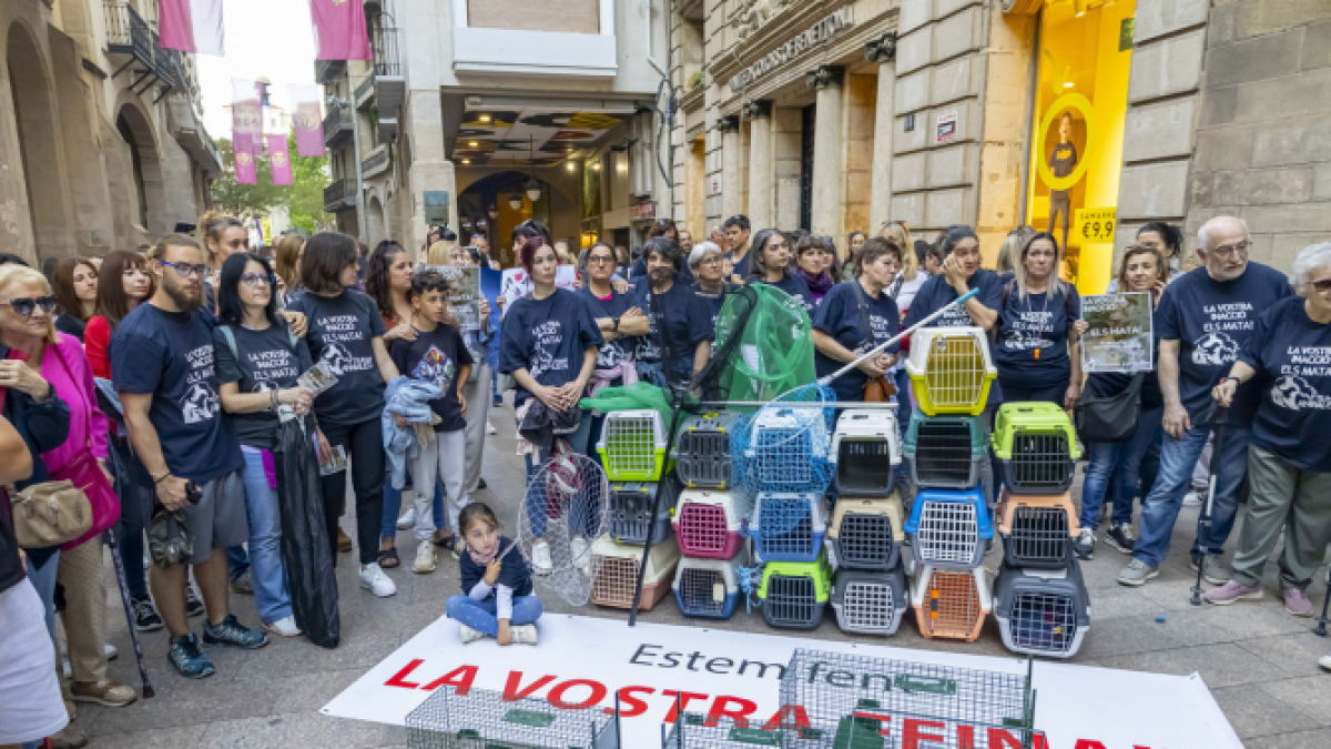 Protesta de Tsunami Animalista a la plaça Paeria de Lleida