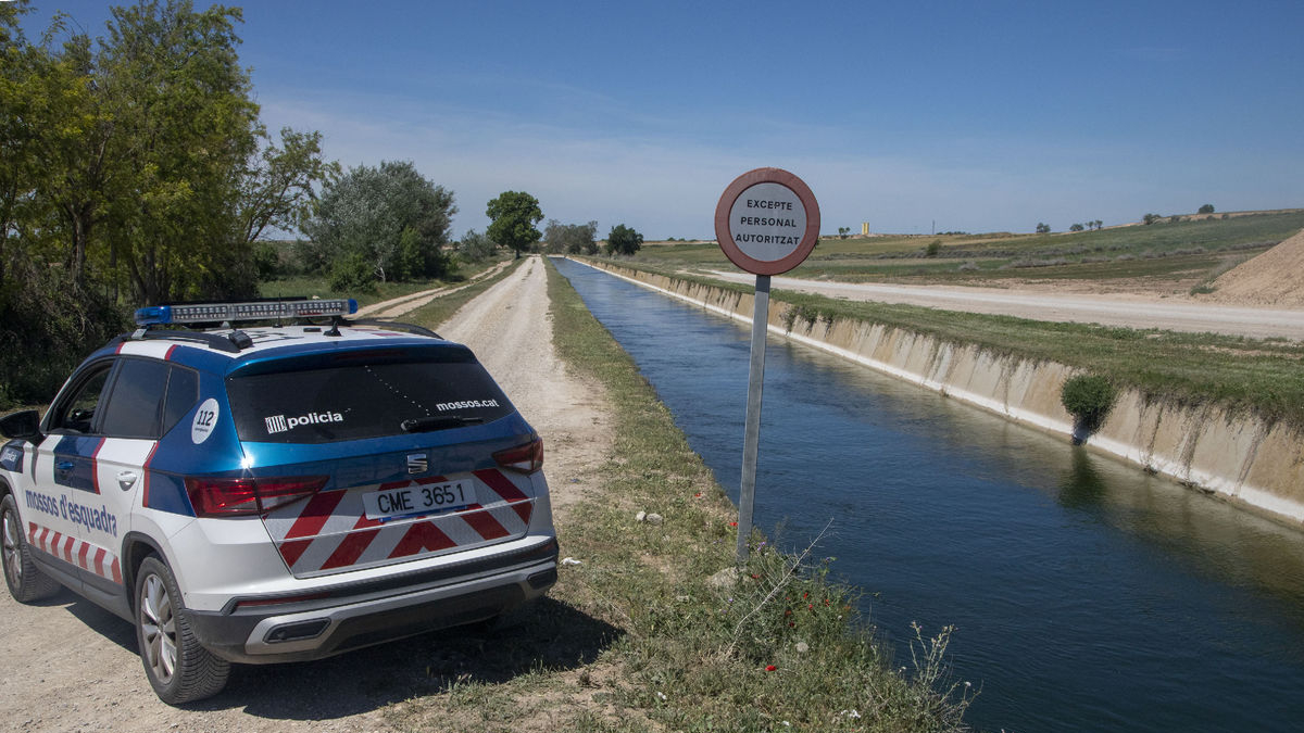 Vista del lloc on va ser localitzat ahir el cos sense vida al canal d’Urgell a Anglesola. - LAIA PEDRÓS