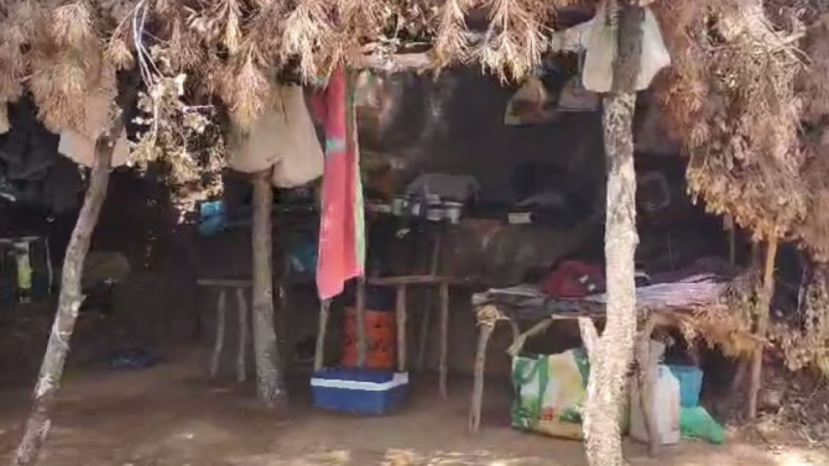 Un incendi destapa una plantació
de ‘maria’ a la Baronia de Rialb