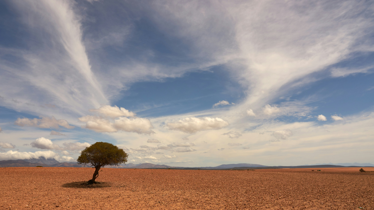 Imagen de archivo de un paisaje sometido a temperaturas extremas.