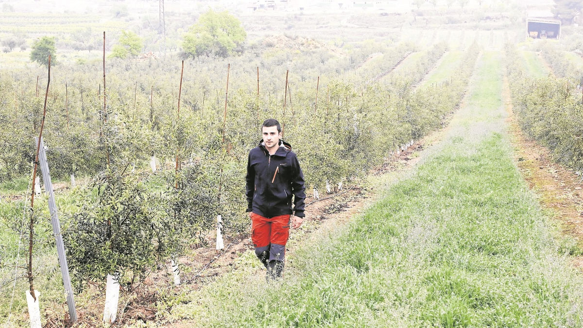 Un dels pagesos del Garrigues Sud que s’ha incorporat al sector primari. - AMADO FORROLLA
